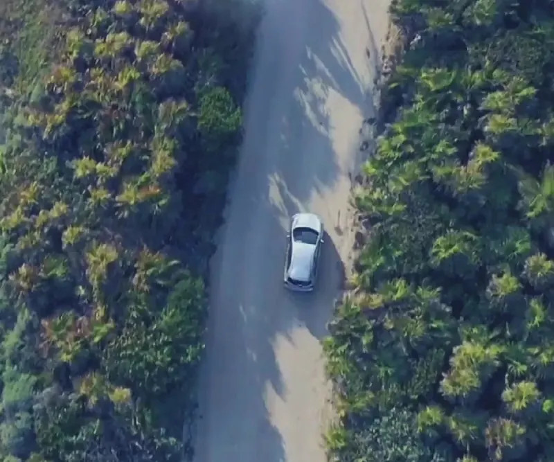 Aerial view of a silver car on a road between green trees